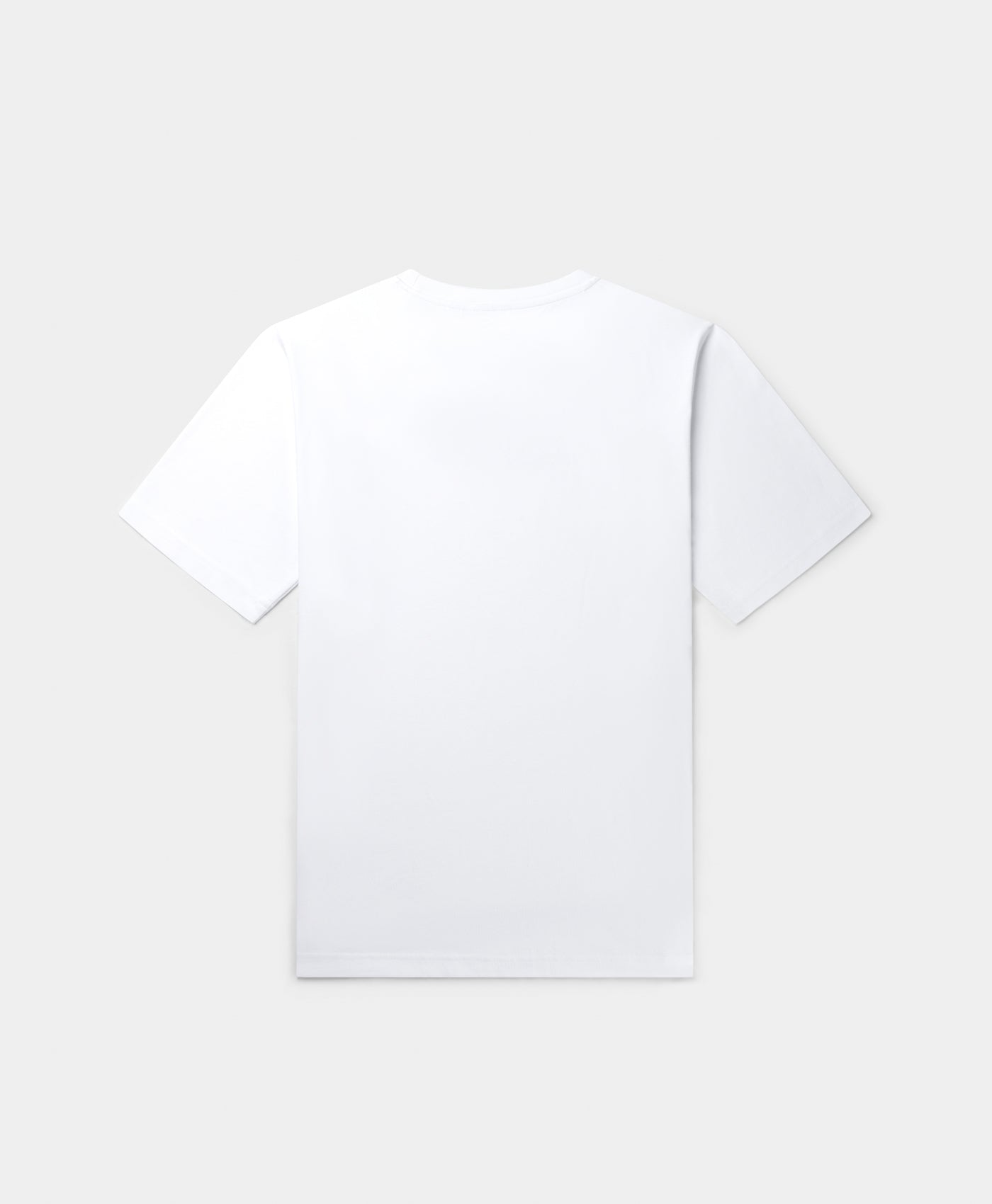 DP - Frost White Unified Type T-Shirt - Packshot - Rear